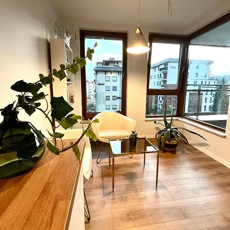 Gdanski Sloneczny Nr 34