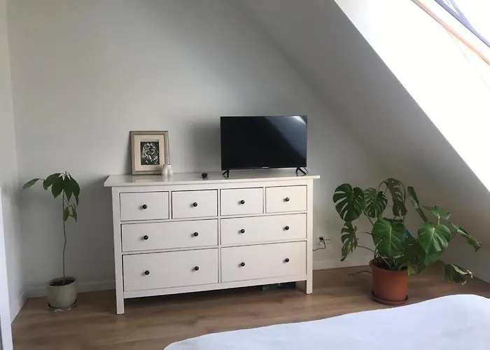 Gdanski Sloneczny Nr 34 * Gdansk